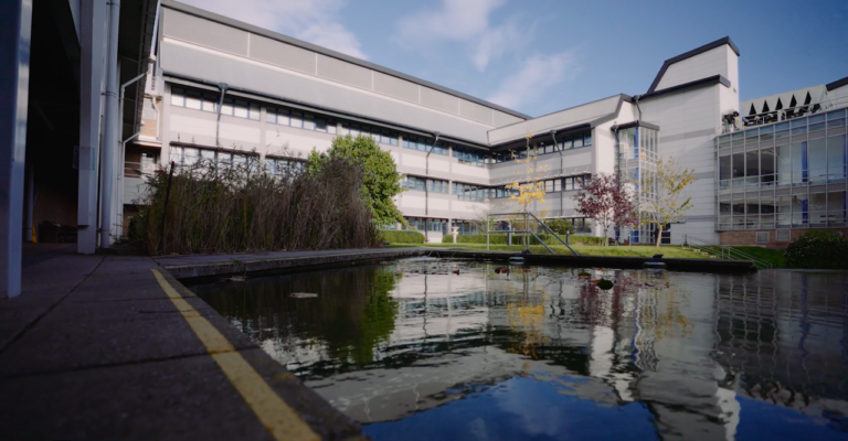 One master’s degree, a world full of opportunities