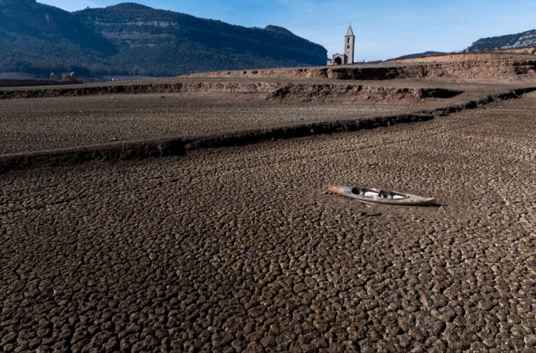 World Environment Day: What is this year’s theme?