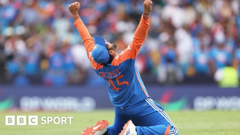 T20 World Cup final: India’s emotional win gives tournament a Hollywood-like ending