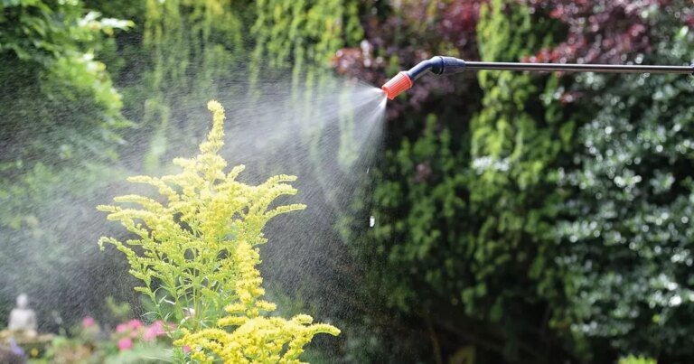 £13 gadget that makes gardening ‘super easy’ is Amazon’s ‘must-have’ bestseller