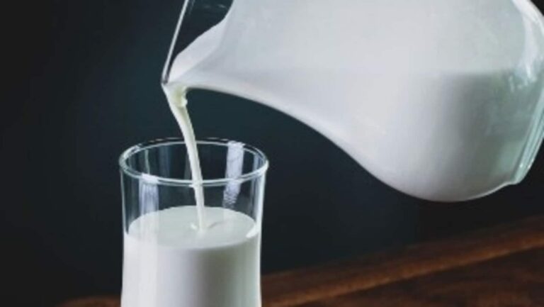 World Milk Day 2024: Date, History, Significance and Everything You Need to Know