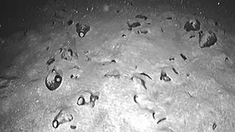 The cargo of the “world’s oldest Bronze Age shipwreck” has finally been discovered after being lost at sea for 3,300 years.