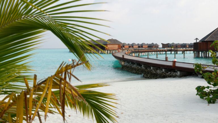 Maldives announces entry ban for Israelis | World News