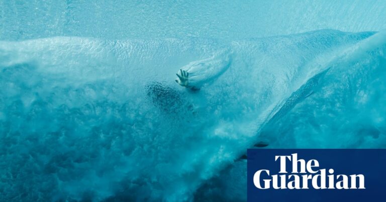 A week around the world in 20 photos | Art and Design