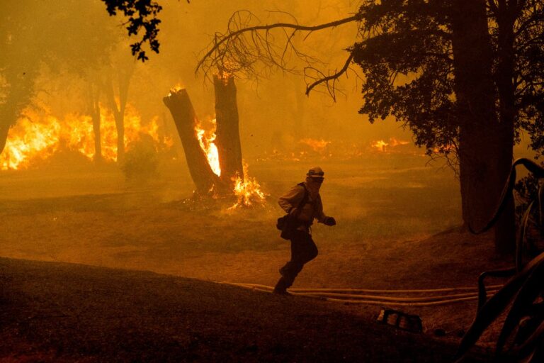 Heatwave scorches Earth, hottest day in world history
