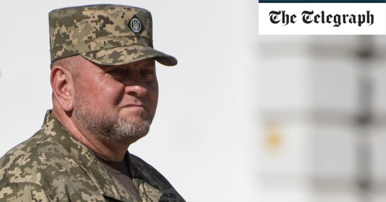 Former Ukrainian military commander says Western countries risk World War III if they don’t improve their weapons