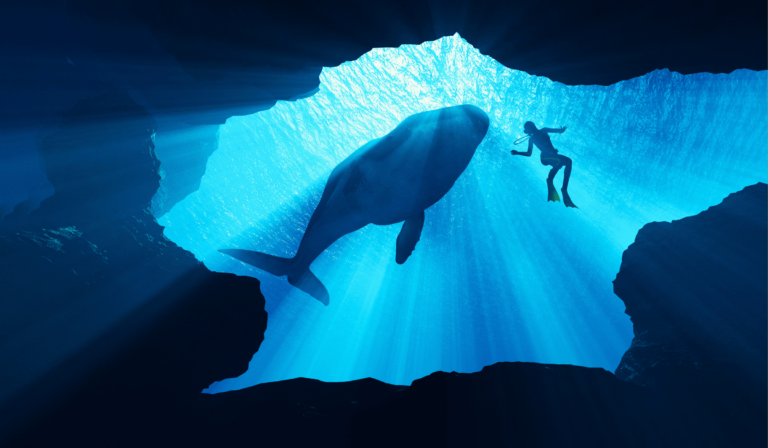 Wild Talk: A Reading List On Artificial Intelligence and Interspecies Communication