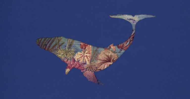 Southern California is the whale skeleton capital of the world